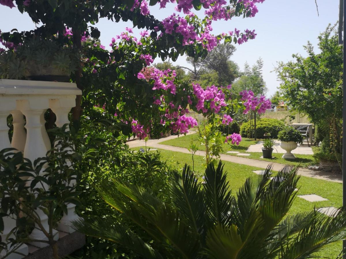 Apartments Daniela Vodice Exterior foto